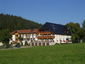Landgasthof Zum Schwanen, Hornberg